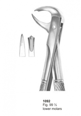  Fig. 99 ½ lower molars 